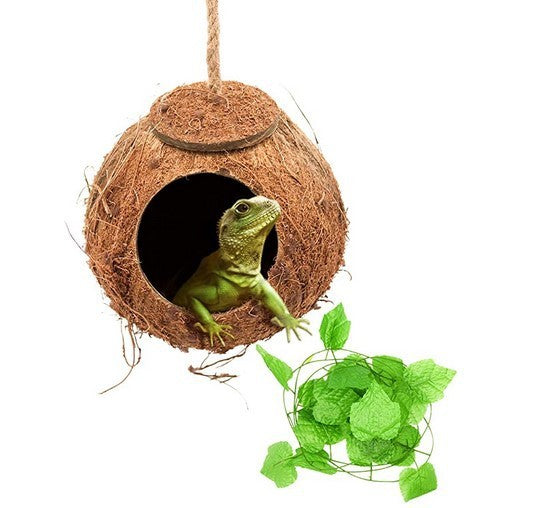 Reptile Coconut Swing