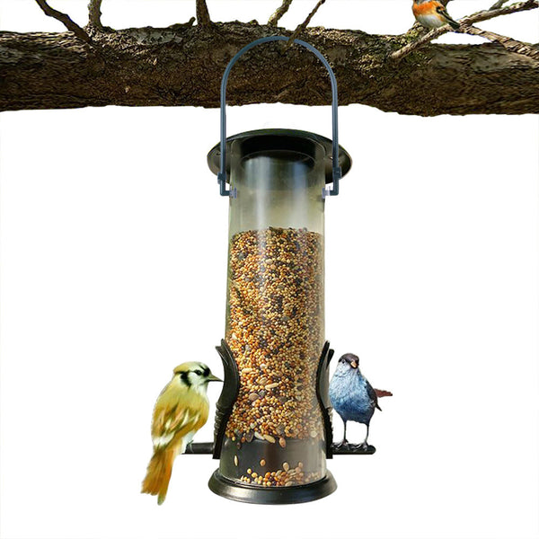 Birds Food Dispenser