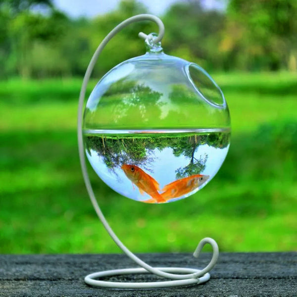 Hanging Glass Vase Fish Tank