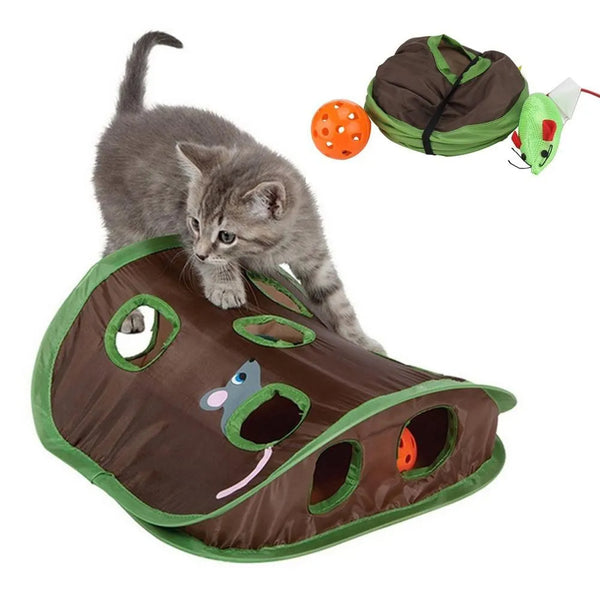 Cute Pet Cat Interactive Hide Seek Game