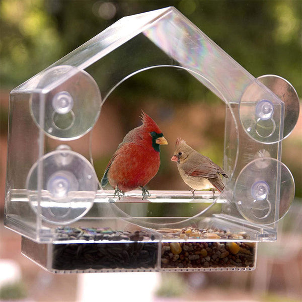 Smart Bird Feeder With Camera