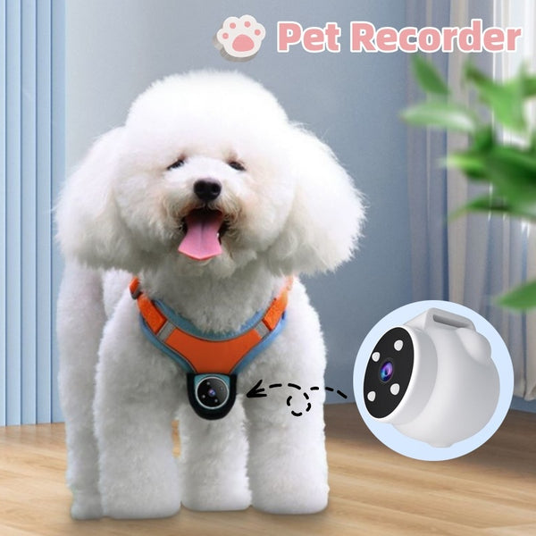 Pets Recorder Pet Tracker Collar Dogs With Viewing Angle