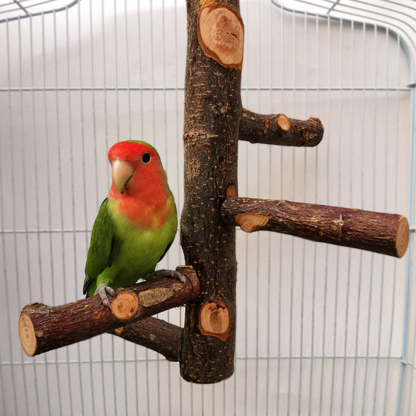 Parrot Stand Pole Toy